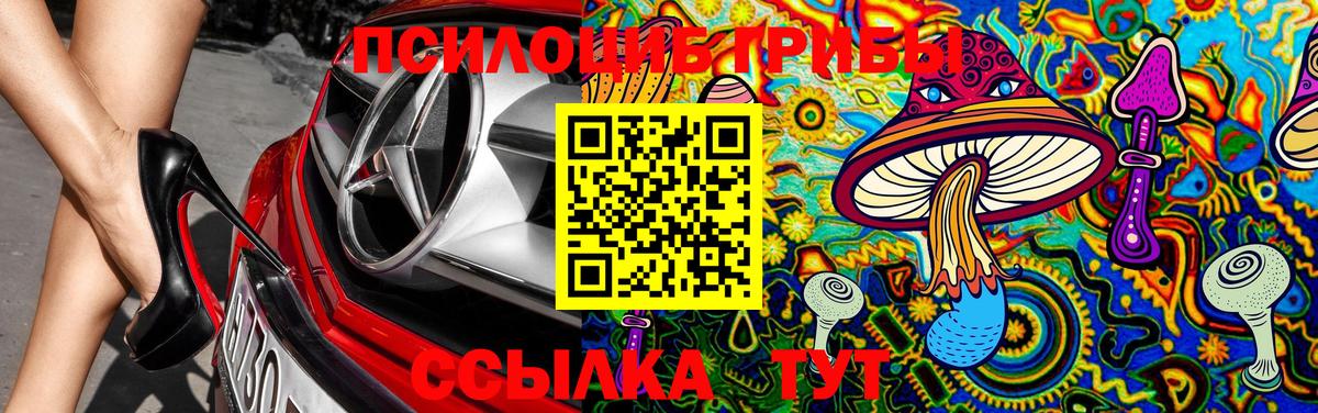 Псилоцибиновые грибы MAGIC MUSHROOMS Нижнекамск