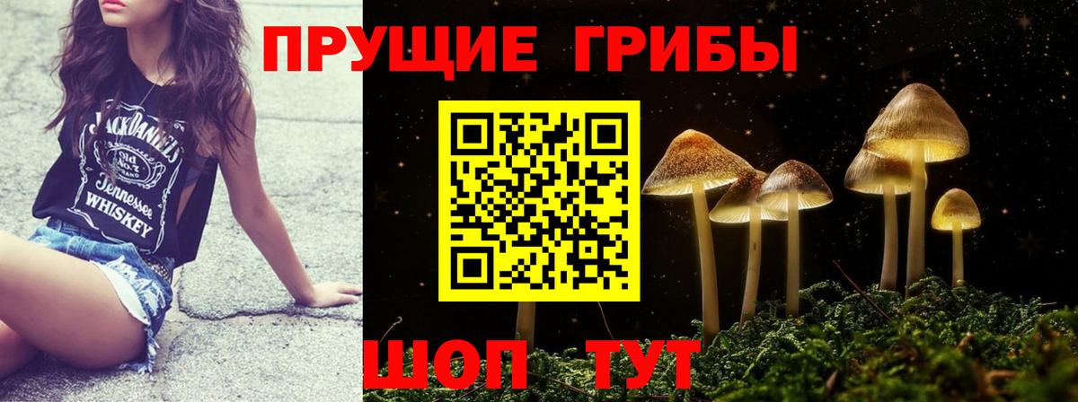 Нижнекамск  Псилоцибиновые грибы мицелий  купить закладку  Вход с VPN 